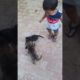 puppies ki fighting...😮🐕🐕/#viarlshorts#cute puppies..😘😘#subscribe...🙏🙏