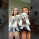 the cutest puppies #homeschooling #grwm #vlog #puppies #sza