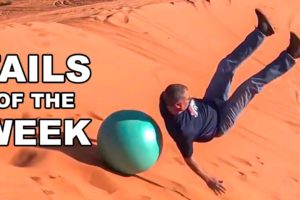 *1 HOUR* Impossible Try Not to Laugh Challenge #8 😂 Best Fails of the Week | Funny Videos 2023