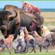 30 Tragic Moments! Wild Animals Accidentally Bump Into Bulls | Animal Fight