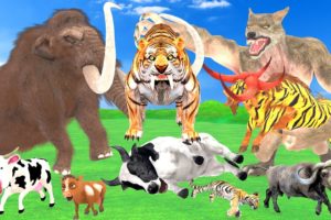 2 Giant Buffaloes Fight Wolf Attack Cow Cartoon Saved by Tiger Bull Woolly Mammoth Elephant Vs Wolf