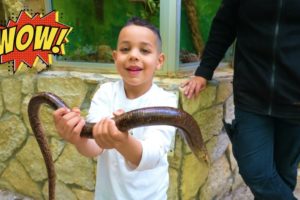 Adam playing at the zoo with animals and feeds them