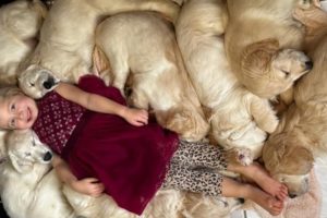 Adorable Baby Girl Meets Golden Retriever Puppy For The First Time! (Cutest Ever!!)