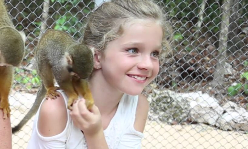 Akumal Monkey Sanctuary & Rescued Animals Experience of a Lifetime!!!