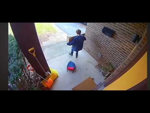 BEST FAILS OF THE WEEK