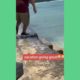 Best fails of the week! - Funny fail videos