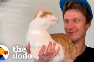 Cat Stops At Nothing To Be Around His Mom's Boyfriend | The Dodo