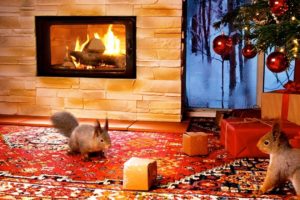 Christmas With Squirrels & Relaxing Christmas Music ( 1 Hour )