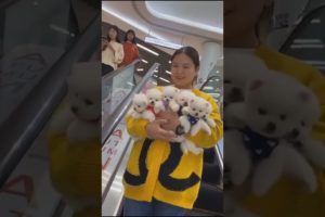 Cute puppies in supermarket#puppyvideos #cute #animals #shortschristmas #christmas #merrychristmas