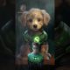 DC Heroes as CUTE Puppies Pt 2 #shorts