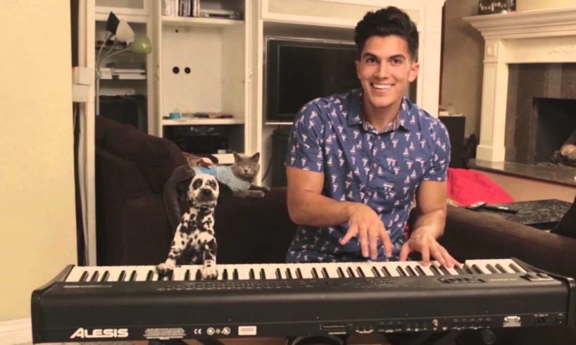 Dalmatian Puppy Plays Piano