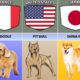 Dog Breeds From Different Countries