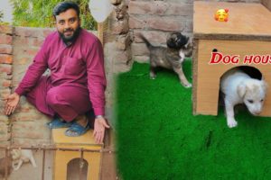 Dog house complete ho gay🏡|| Dihat Main Ronak