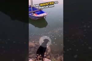 ⚠️ Dog rescues his best friend 💛