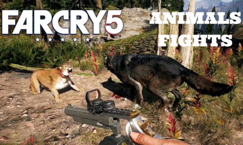 FAR CRY 5- ANIMAL FIGHTS ANIMATIONS