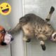 Funniest Cats And Dogs Videos 😁 - Best Funny Animal Videos 2023 🥰