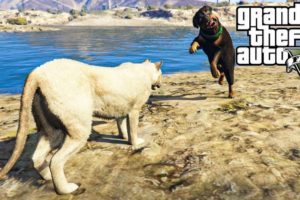 GTA V - MOUNTAIN LION VS ALL PREDATORS - ANIMAL FIGHTS!!!