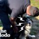 Guy Frees Husky Who’d Never Left His Own Backyard | The Dodo