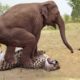 Herd Of Elephants Rescues Baby Monkey From Leopard Hunting - Elephant vs Lion, Rhino, Crocodile