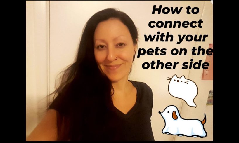 How to communicate with your pets that have passed away | Pets in the afterlife