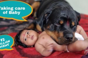 Jerry and Aaru are made for each other | Dog protecting baby | earn money online |