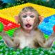KiKi Monkey Four Colors Water Balloons Challenge | KUDO ANIMAL KIKI