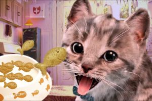 Little Kitten Preschool Adventure Educational Games - Play Fun Cute Kitten Pet Care Gameplay #435
