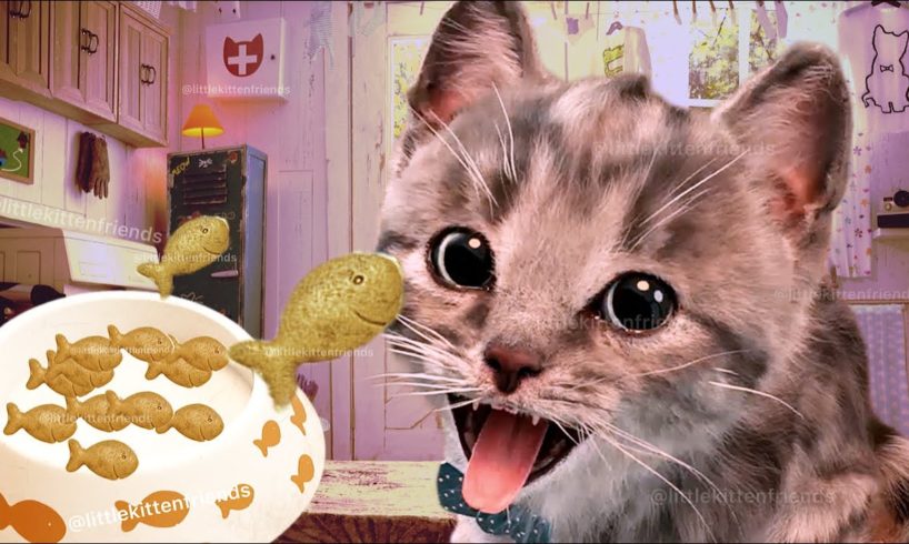 Little Kitten Preschool Adventure Educational Games - Play Fun Cute Kitten Pet Care Gameplay #435