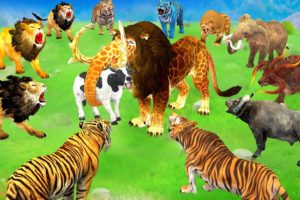 Mammoth Elephant vs 10 Giant Tiger Lion vs 10 Cow Buffalo Fight Cow Buffalo Saved By Monster Lion