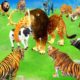 Mammoth Elephant vs 10 Giant Tiger Lion vs 10 Cow Buffalo Fight Cow Buffalo Saved By Monster Lion