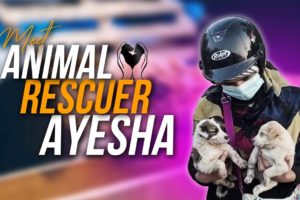 Meet Lahore's Animal Rescuers Ayesha | MM News