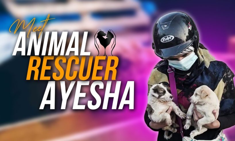 Meet Lahore's Animal Rescuers Ayesha | MM News