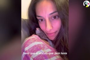 Mujer rescata a un pequeño gorrión bebé más pequeño que el estuche de los AirPods | El Dodo