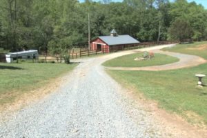 North Georgia Farm B&B Features Many Rescued Animals