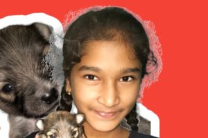 Our pet dog has two cute puppies #dog #youtubeindia #puppy