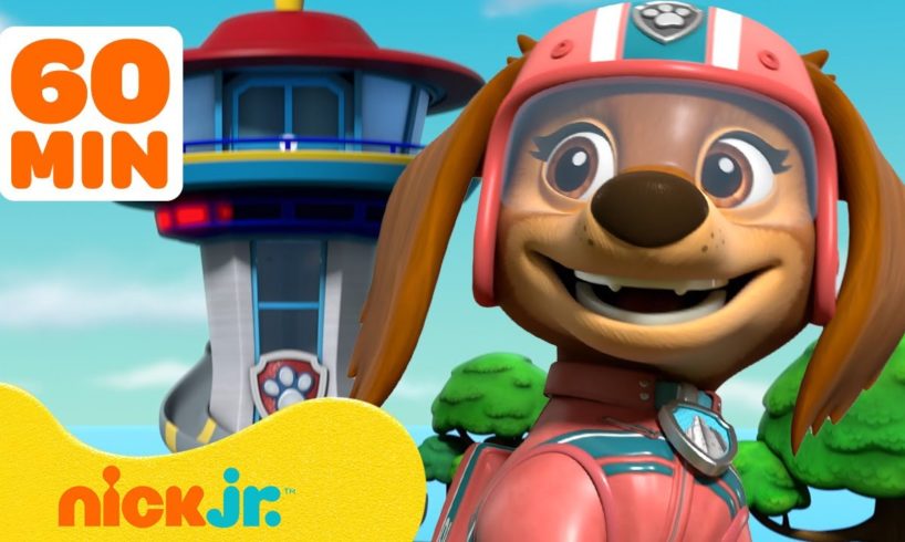 PAW Patrol Liberty's Best Moments! w/Junior Patrollers, Chase & Skye | 1 Hour Compilation | Nick Jr.