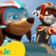 PAW Patrol Mighty Pups Use Their Super Powers! w/ Liberty & Marshall | 1 Hour Compilation | Nick Jr.
