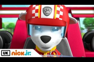 PAW Patrol | Ready Race Rescue: Marshall vs. Cheetah | Nick Jr. UK