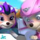 PAW Patrol Skye Girl Power Rescues! w/ Coral, Cat Pack & Everest | 1 Hour Compilation | Nick Jr.