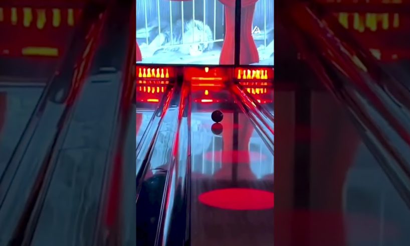 Person Shows Amazing Bowling Trick Shot Using Two Balls