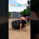 Pulling A Bus, Flipping Cars & More | Extreme Workouts | People Are Awesome #shorts