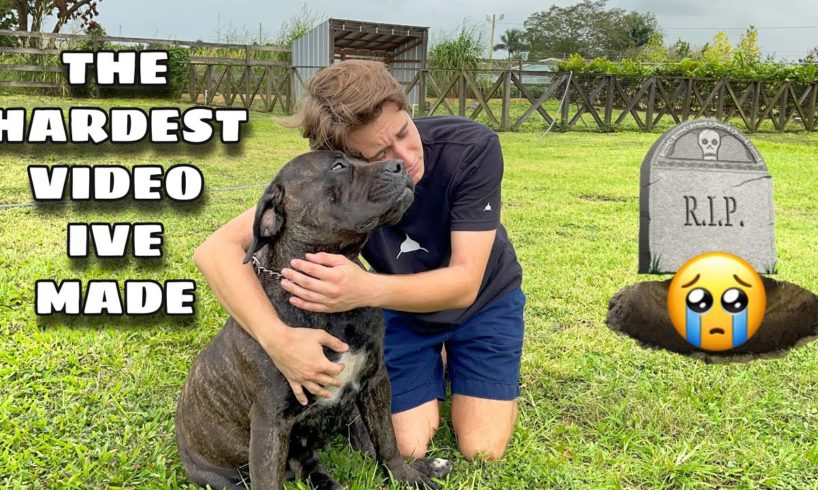 RIP MY DOG.... THE HARDEST VIDEO IVE EVER MADE !