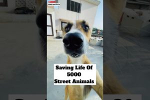 Saving Life Of 5000 Street Animals 🙏🏻 | #333