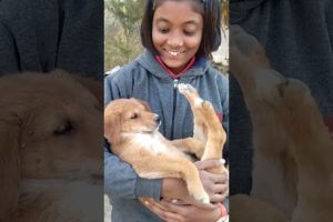 So cute puppies 😘🥰#doglover #street dog#cutedog #shortvideo #shortsfeed #youtubeshorts #most cute