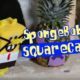 SpongeBob SquarePants (Cute Kitten Version)