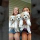 THE CUTEST PUPPIES😩 #onlinemarketplace ##puppies #relateable #vlog #youtubeshorts