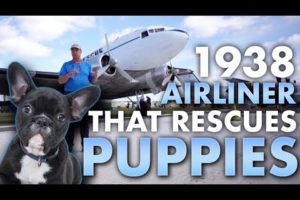 The 1938 Airliner That Rescues Puppies | Dan Gryder's Airborne Animal Rescue | SUN N FUN 2023