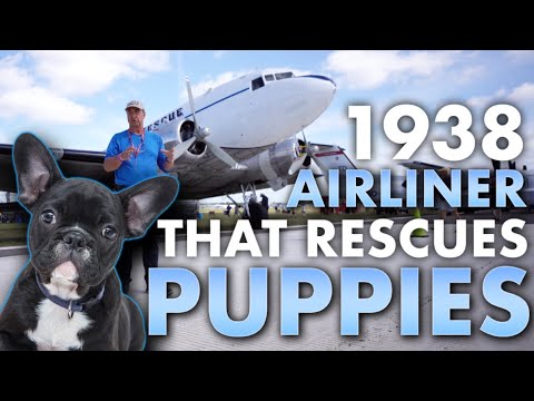 The 1938 Airliner That Rescues Puppies | Dan Gryder's Airborne Animal Rescue | SUN N FUN 2023