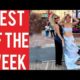 The Dog Stole the Dress and other funny videos! || Best fails of the week! || December 2023!