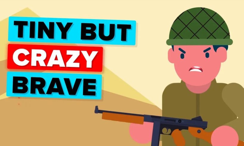 The Insanely Crazy Story of a Tiny Soldier And Other Bizarre Soldier Stories! (Compilation)